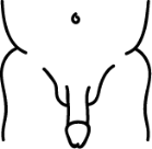Épilé